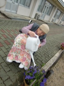 避難路の花に水やり中