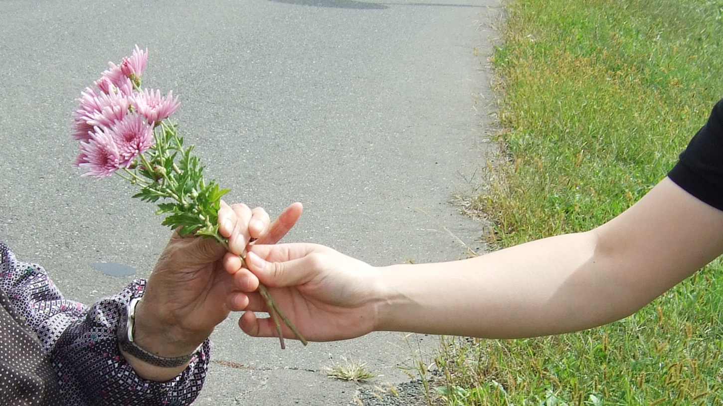 入居者同士がピンク色の花を交換する温かい交流風景。屋外での生活活動を記録した写真。